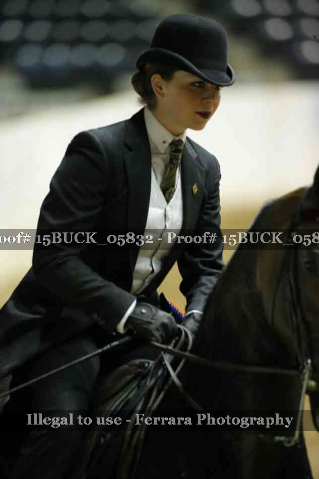 Proof 15BUCK_05832
