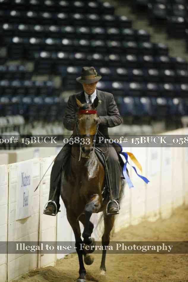 Proof 15BUCK_05833
