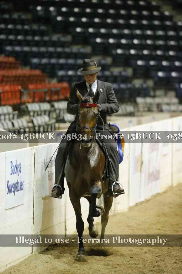Proof 15BUCK_05834