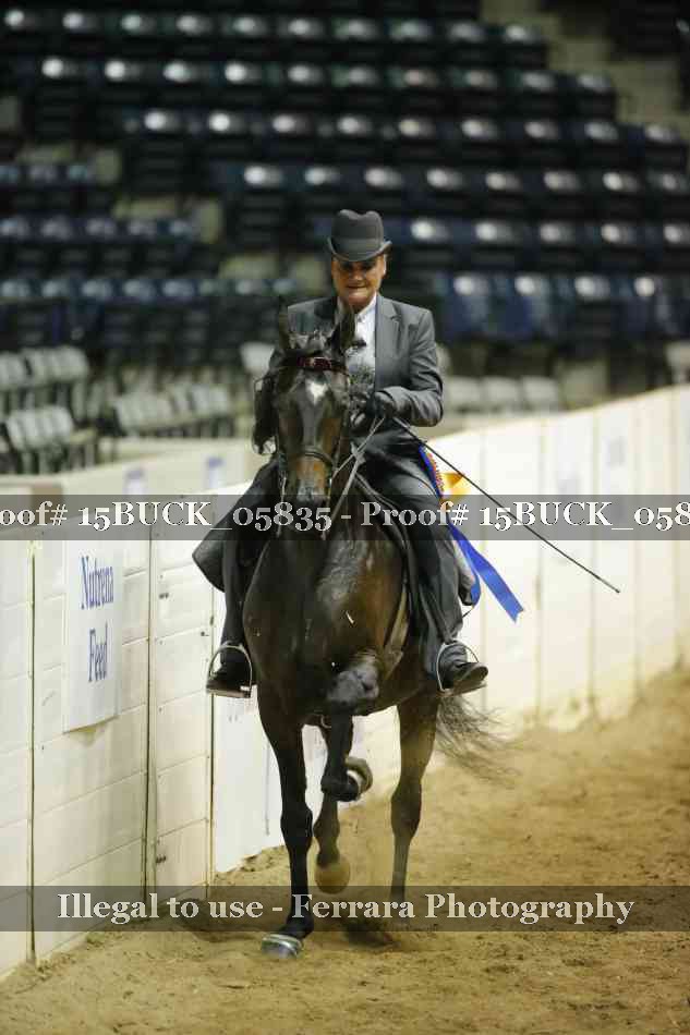Proof 15BUCK_05835