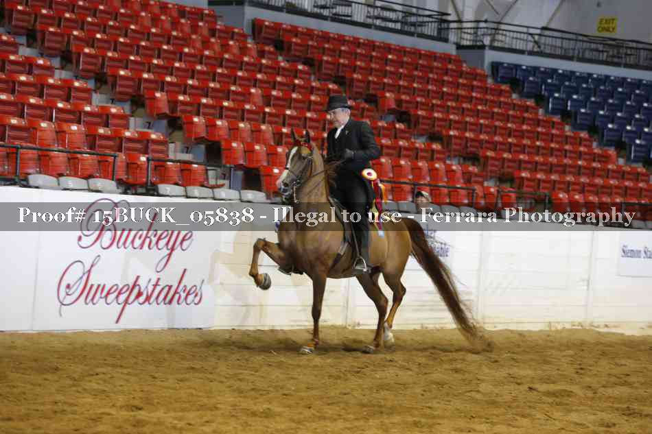 Proof 15BUCK_05838