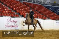 15BUCK_05838 proof
