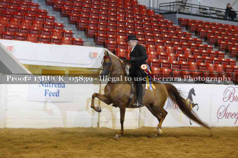 Proof 15BUCK_05839