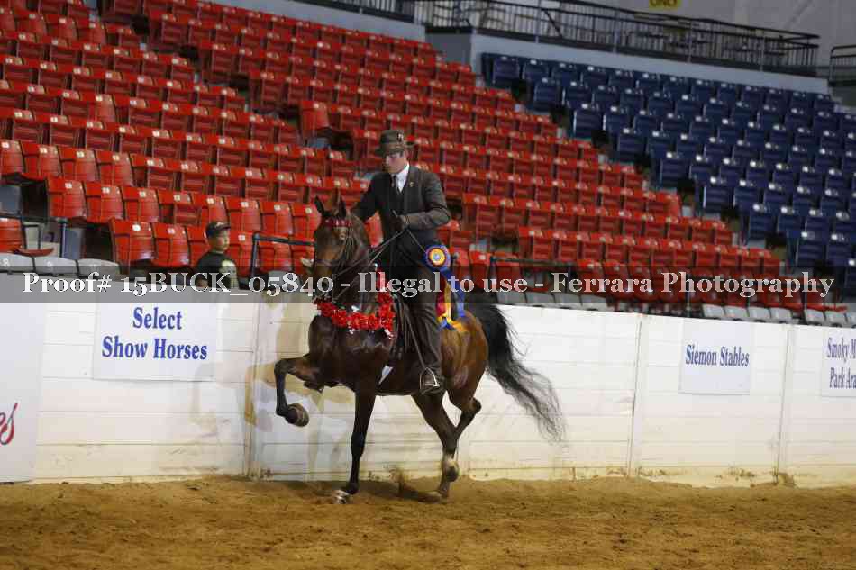 Proof 15BUCK_05840