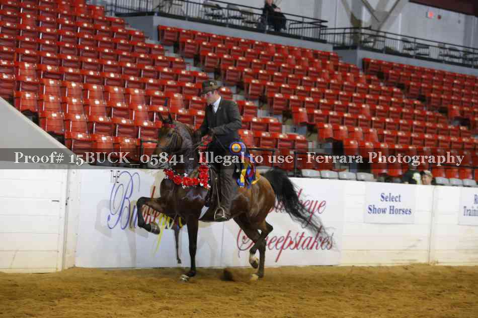 Proof 15BUCK_05841