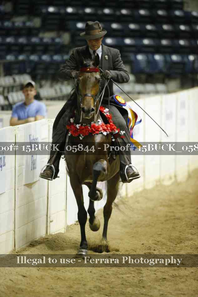 Proof 15BUCK_05844