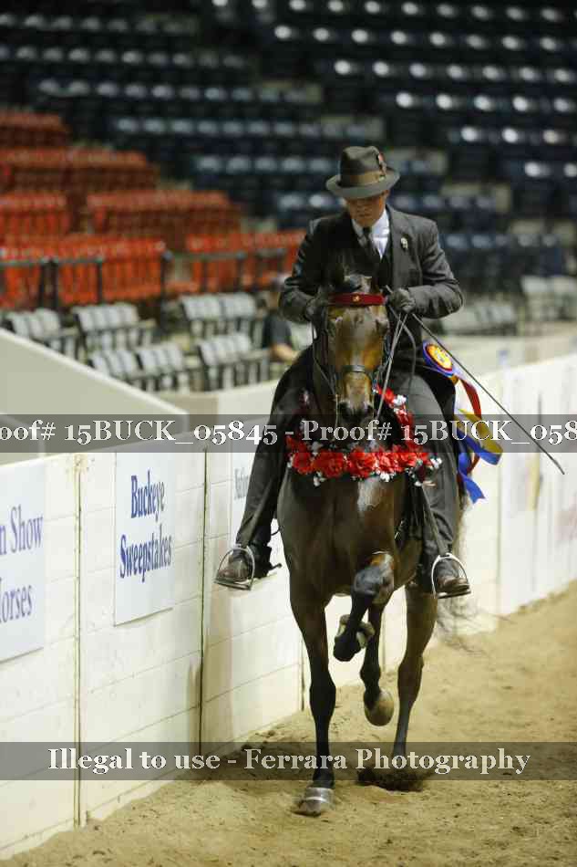 Proof 15BUCK_05845