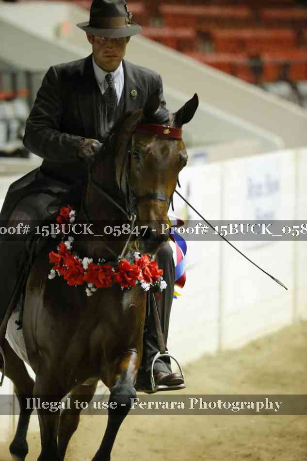 Proof 15BUCK_05847