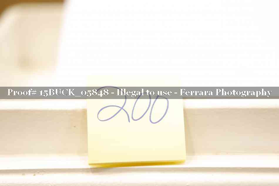 Proof 15BUCK_05848