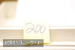 15BUCK_05848 proof