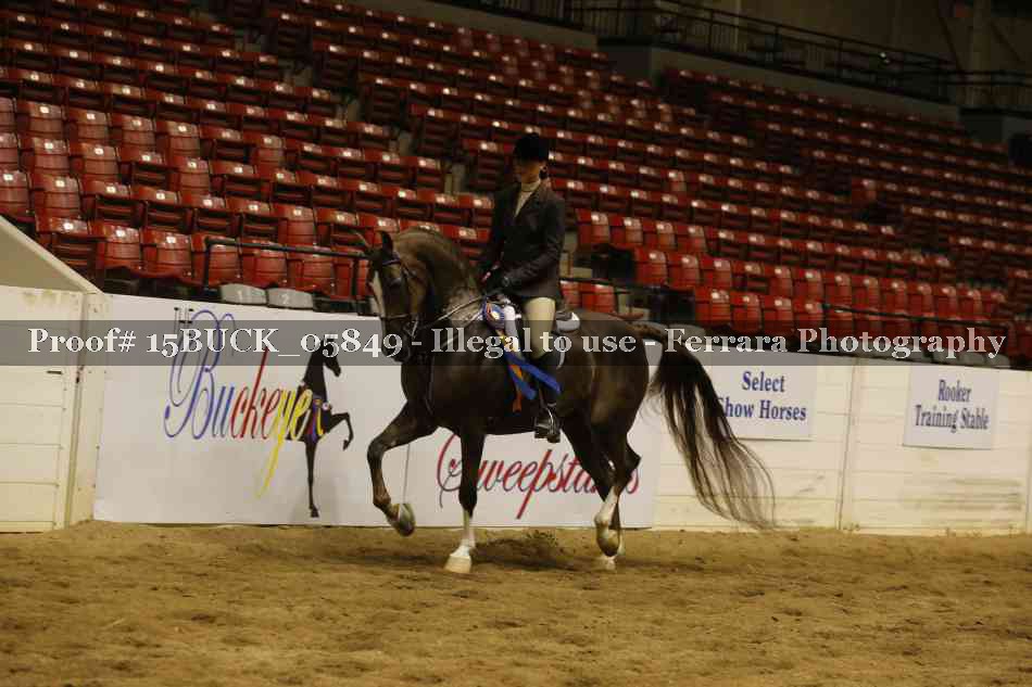 Proof 15BUCK_05849