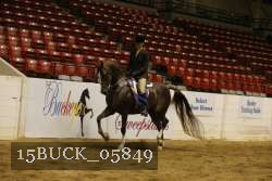 15BUCK_05849 proof