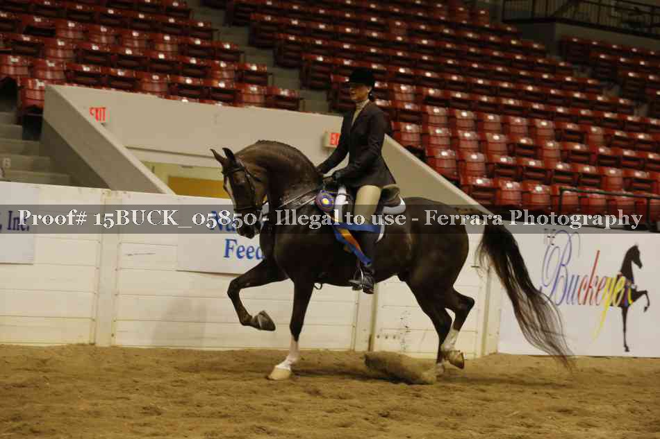 Proof 15BUCK_05850