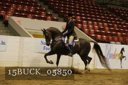 15BUCK_05850 proof