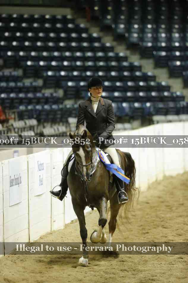 Proof 15BUCK_05852
