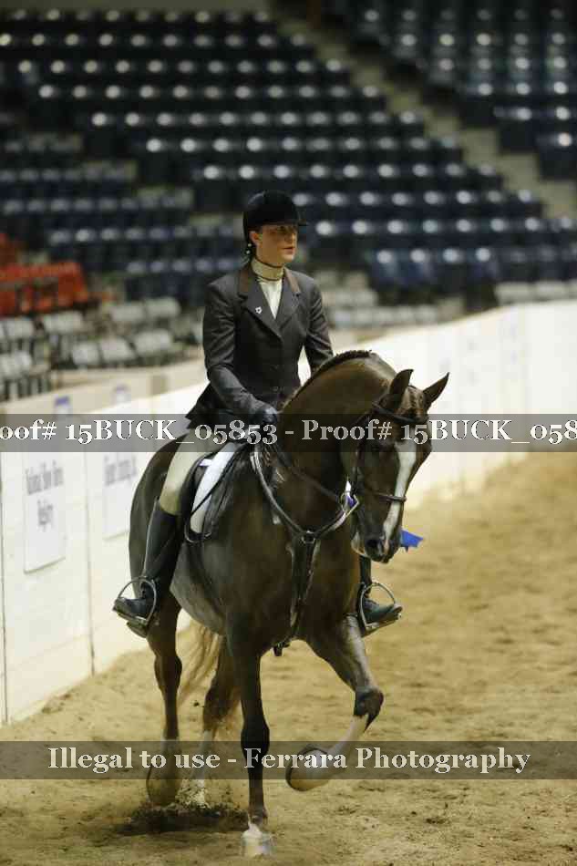 Proof 15BUCK_05853