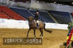 15BUCK_05854 proof