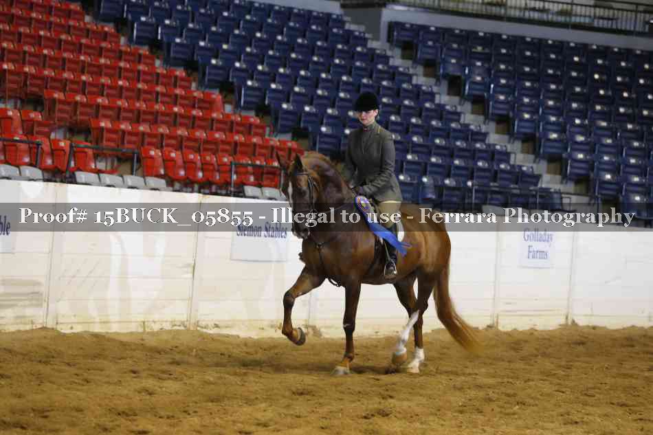 Proof 15BUCK_05855