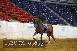 15BUCK_05855 proof