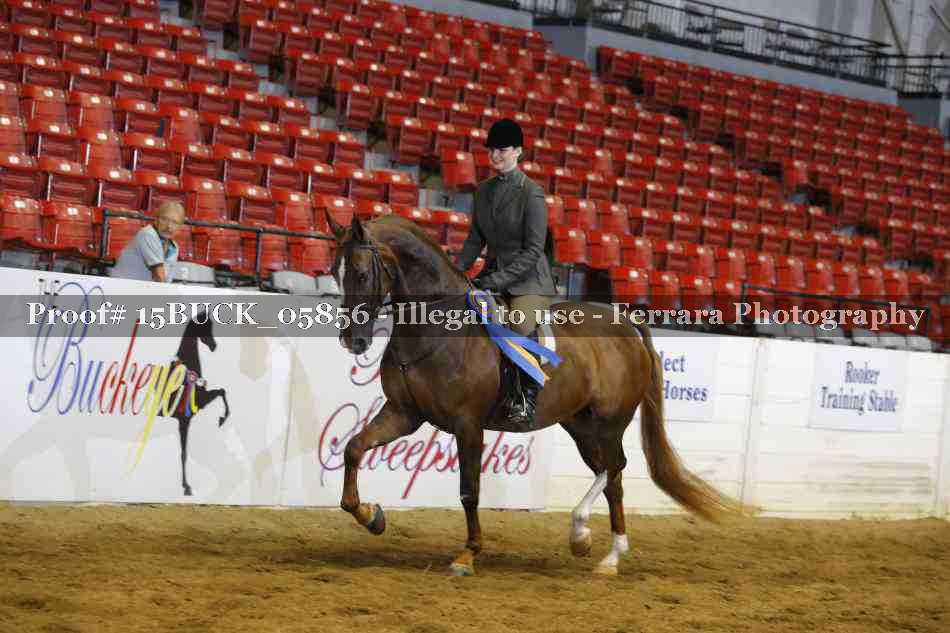 Proof 15BUCK_05856