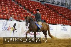 15BUCK_05856 proof