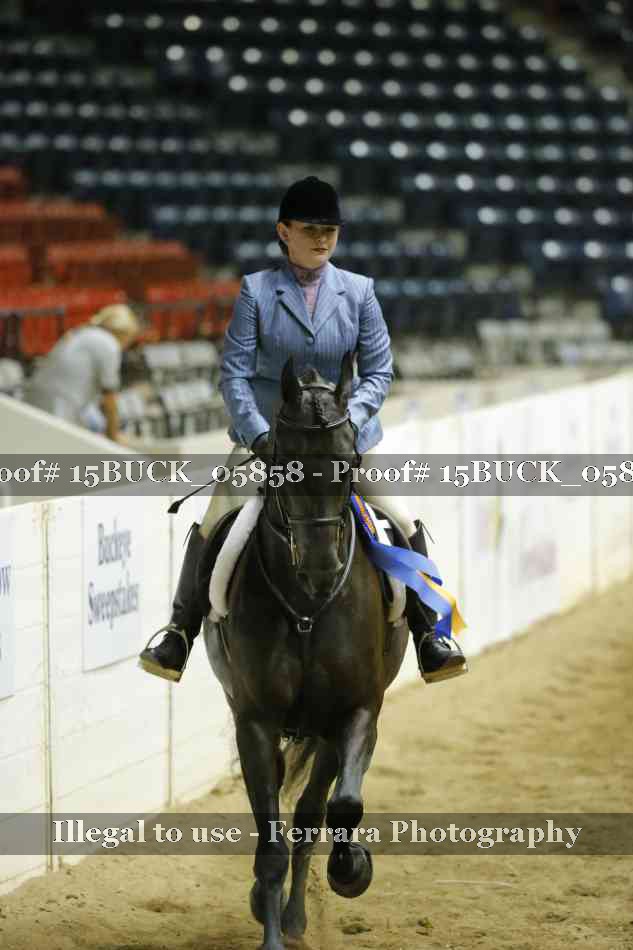 Proof 15BUCK_05858