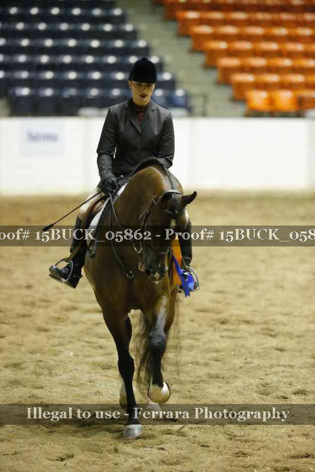Proof 15BUCK_05862