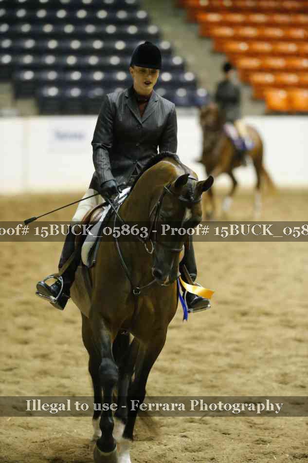 Proof 15BUCK_05863