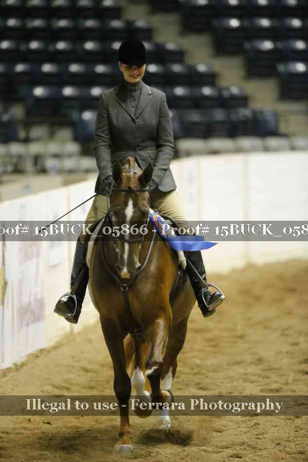 Proof 15BUCK_05866