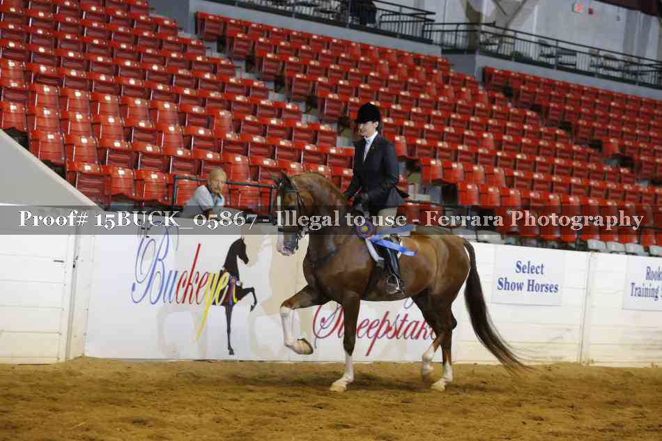 Proof 15BUCK_05867