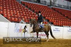 15BUCK_05867 proof