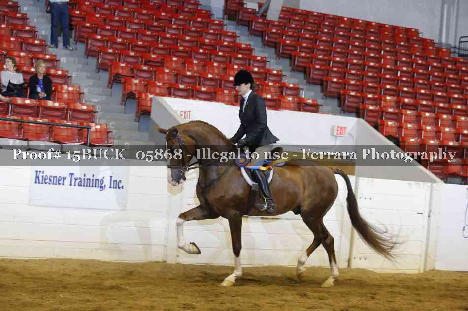 Proof 15BUCK_05868