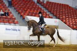 15BUCK_05868 proof