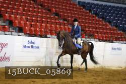 15BUCK_05869 proof