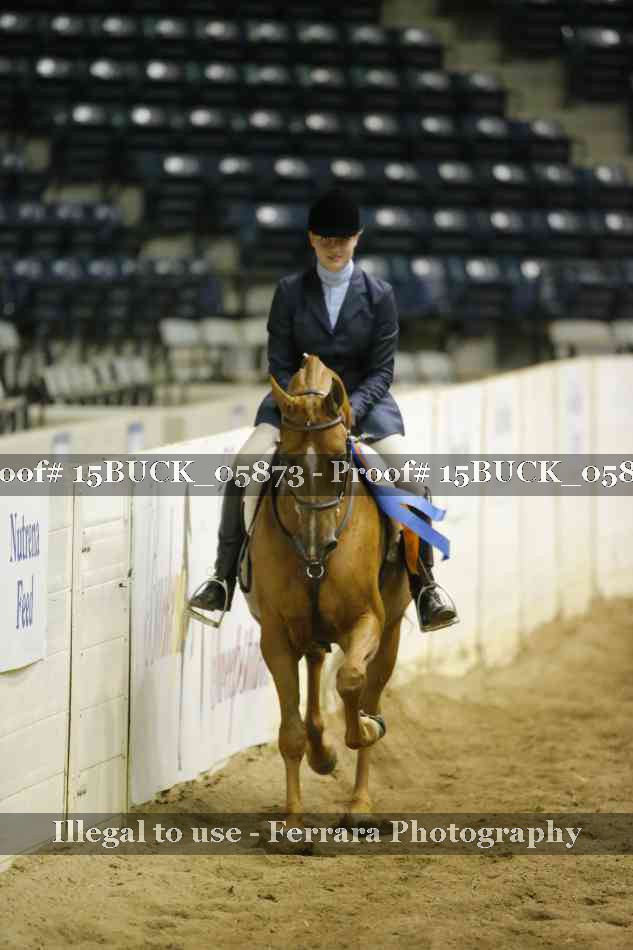 Proof 15BUCK_05873