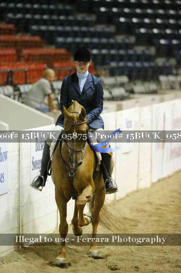 Proof 15BUCK_05875