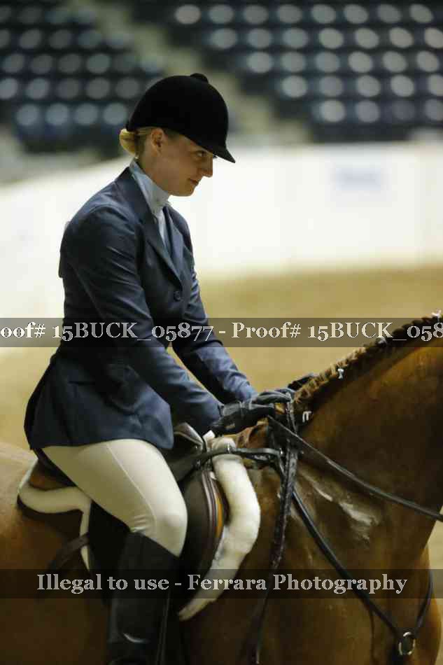 Proof 15BUCK_05877