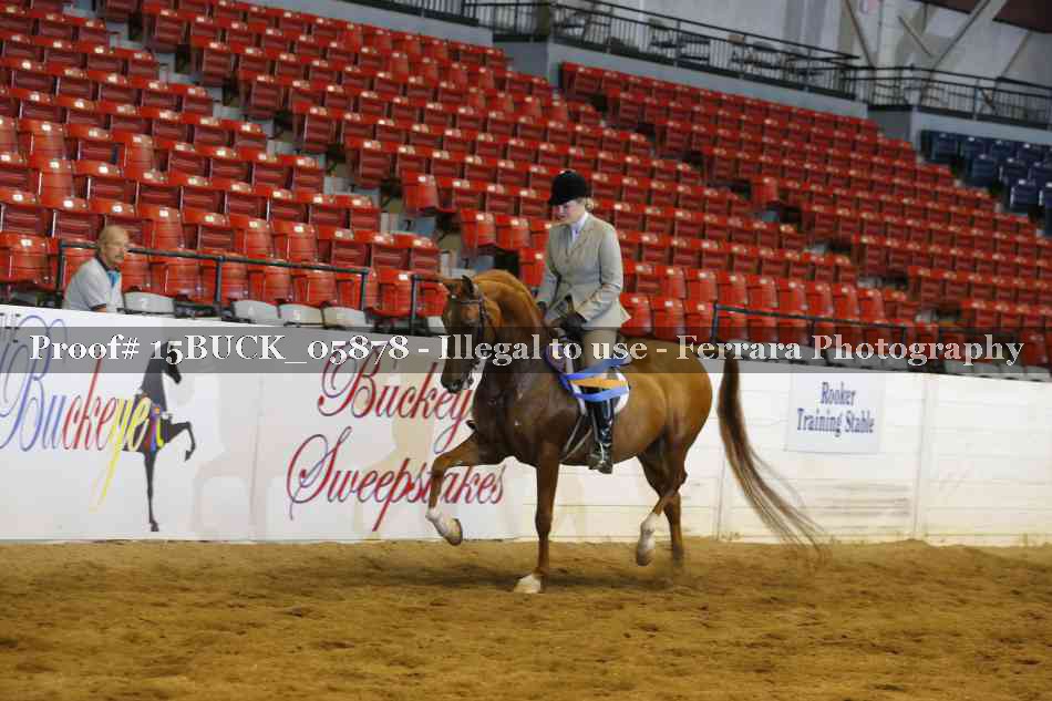 Proof 15BUCK_05878