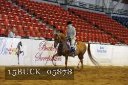 15BUCK_05878 proof