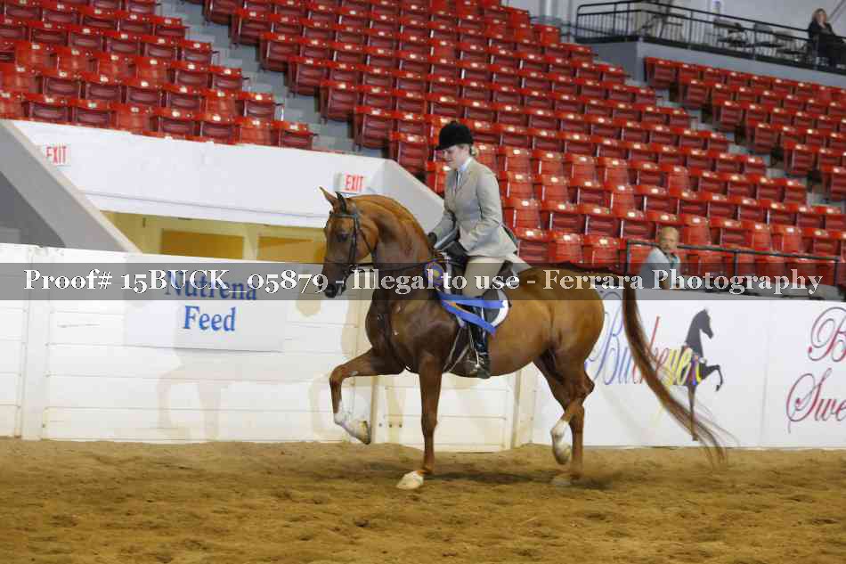 Proof 15BUCK_05879