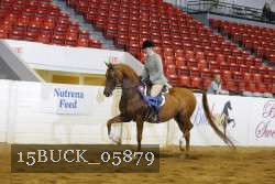 15BUCK_05879 proof