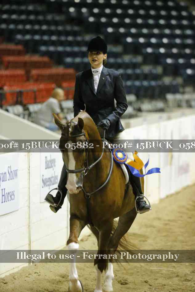Proof 15BUCK_05882