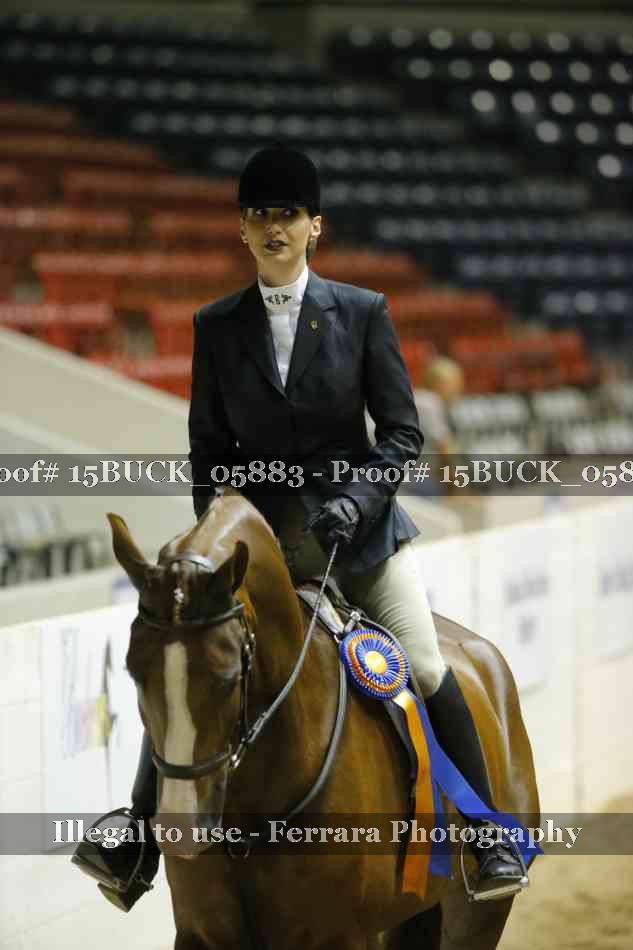 Proof 15BUCK_05883