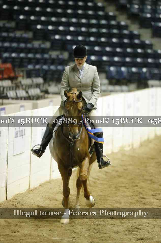 Proof 15BUCK_05889