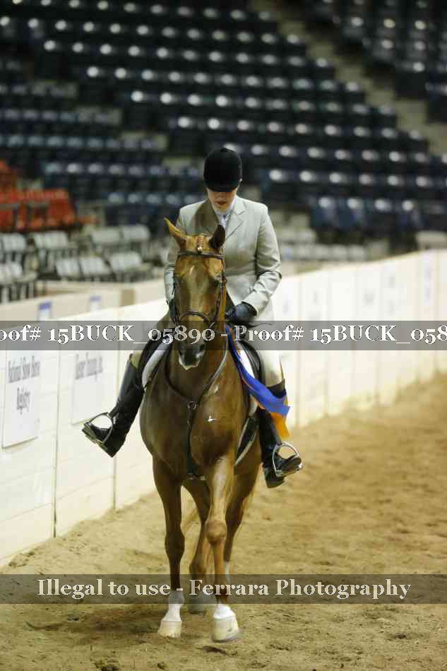 Proof 15BUCK_05890