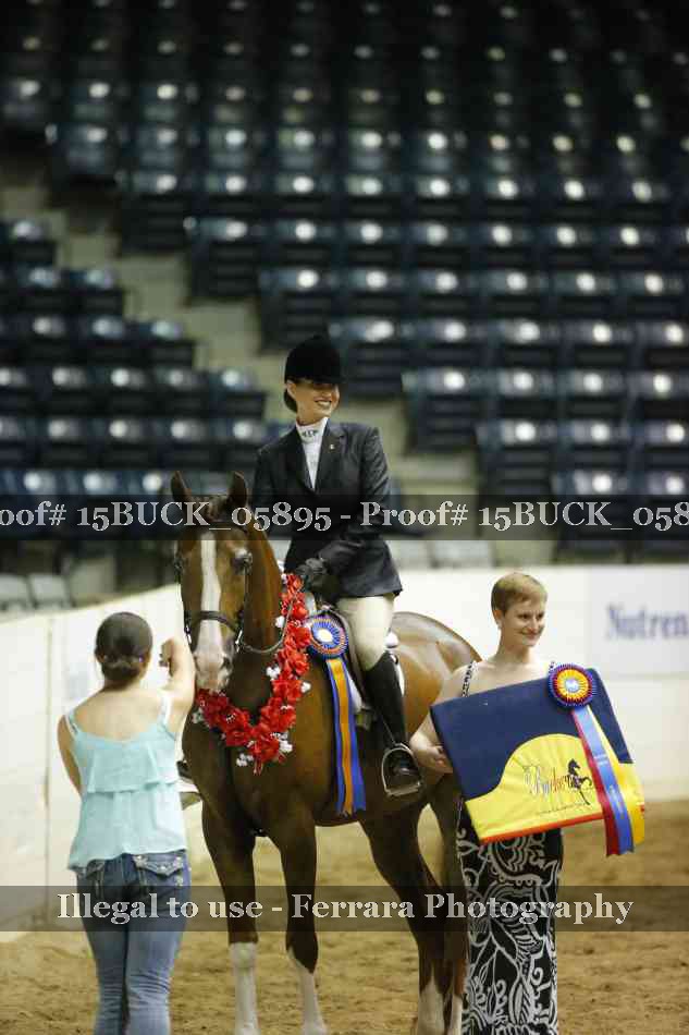 Proof 15BUCK_05895