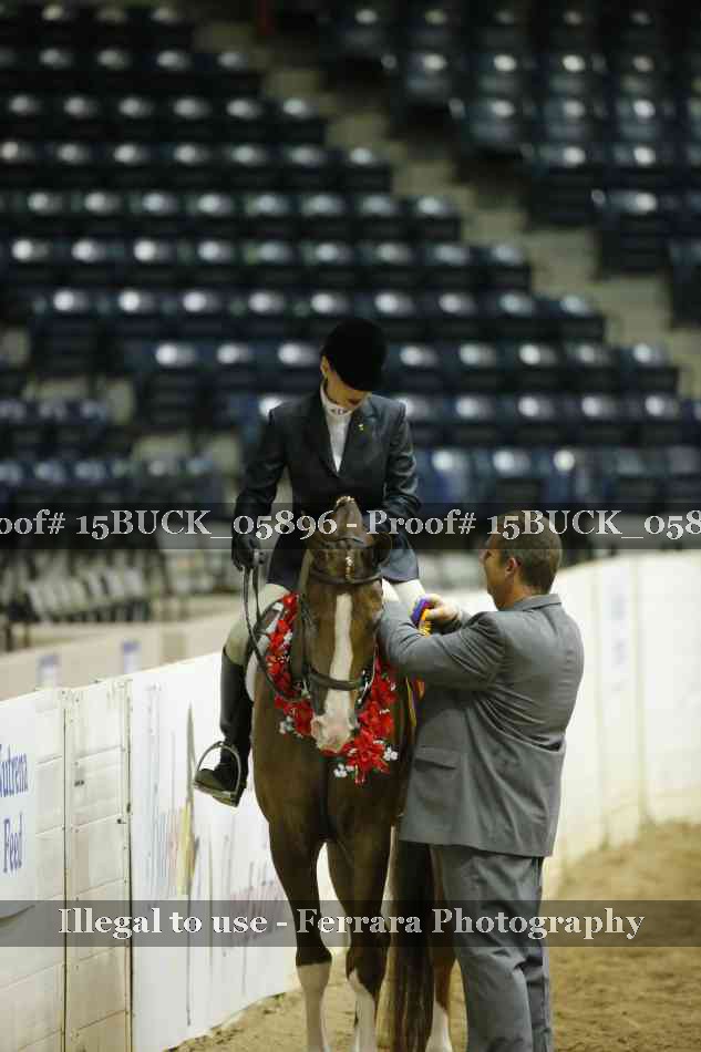 Proof 15BUCK_05896