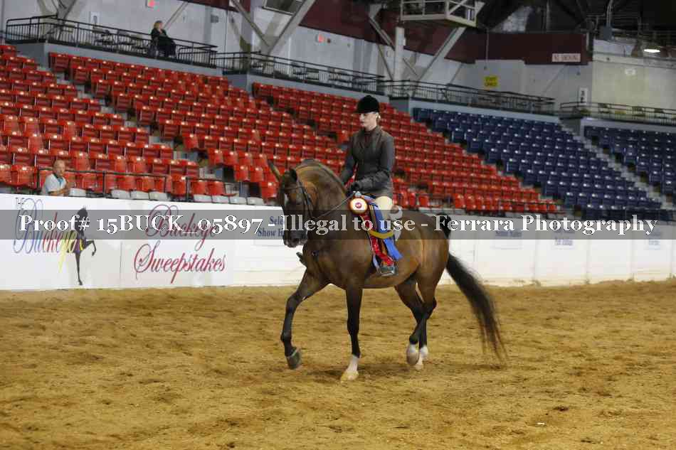 Proof 15BUCK_05897