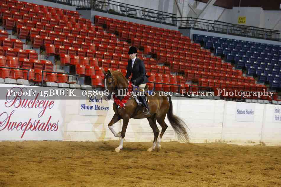 Proof 15BUCK_05898