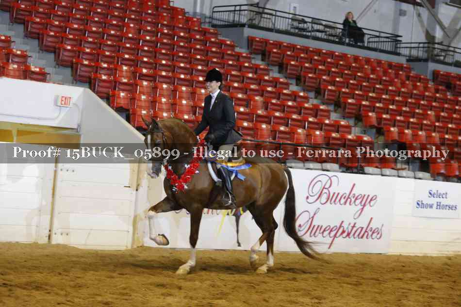 Proof 15BUCK_05899
